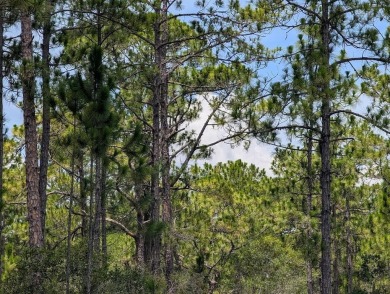 Come build your single or multi-family forever home on this One on Indian Lake Estates Golf and Country Club in Florida - for sale on GolfHomes.com, golf home, golf lot