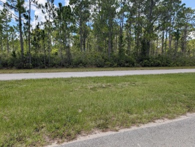 Come build your single or multi-family forever home on this One on Indian Lake Estates Golf and Country Club in Florida - for sale on GolfHomes.com, golf home, golf lot