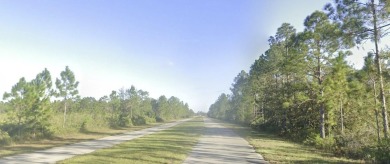 Come build your single or multi-family forever home on this One on Indian Lake Estates Golf and Country Club in Florida - for sale on GolfHomes.com, golf home, golf lot