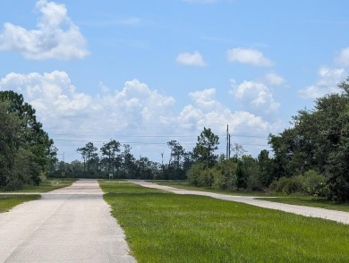 Come build your single or multi-family forever home on this One on Indian Lake Estates Golf and Country Club in Florida - for sale on GolfHomes.com, golf home, golf lot
