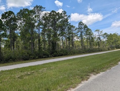 Come build your single or multi-family forever home on this One on Indian Lake Estates Golf and Country Club in Florida - for sale on GolfHomes.com, golf home, golf lot