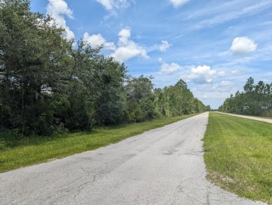 Come build your single or multi-family forever home on this One on Indian Lake Estates Golf and Country Club in Florida - for sale on GolfHomes.com, golf home, golf lot