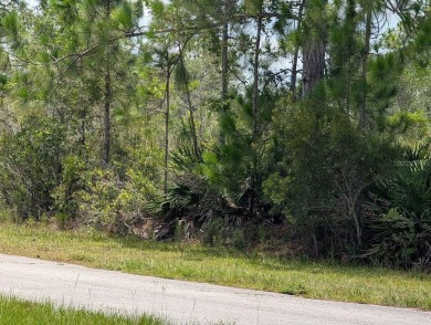 Come build your single or multi-family forever home on this One on Indian Lake Estates Golf and Country Club in Florida - for sale on GolfHomes.com, golf home, golf lot