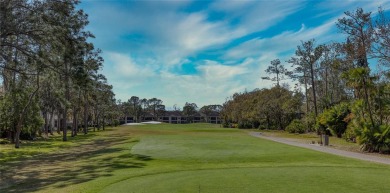 Don't miss out on this stunning townhome located in the highly on East Lake Woodlands Country Club in Florida - for sale on GolfHomes.com, golf home, golf lot