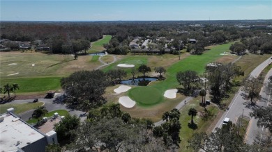 Don't miss out on this stunning townhome located in the highly on East Lake Woodlands Country Club in Florida - for sale on GolfHomes.com, golf home, golf lot