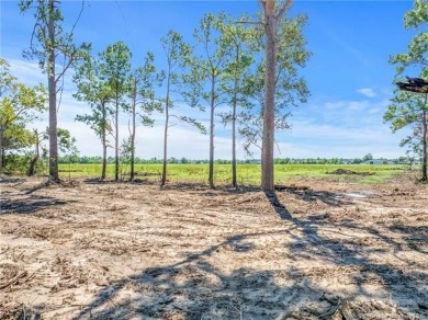 Spacious 3 to 5 Acre Lots in South Lake Charles. Discover your
 on Gray Plantation Golf Course in Louisiana - for sale on GolfHomes.com, golf home, golf lot