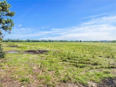 Spacious 3 to 5 Acre Lots in South Lake Charles. Discover your
 on Gray Plantation Golf Course in Louisiana - for sale on GolfHomes.com, golf home, golf lot