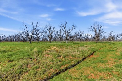 This 1.6 Acre corner lot offers an exceptional opportunity to on Nutcracker Golf Club in Texas - for sale on GolfHomes.com, golf home, golf lot