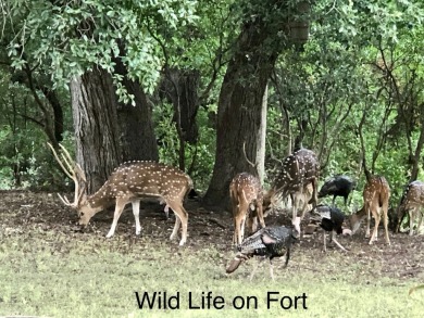 3 Vacant lots on Fairway Circle 27/J/55,56,57 - 4th Hole FCS on Fort Clark Springs Golf Course in Texas - for sale on GolfHomes.com, golf home, golf lot