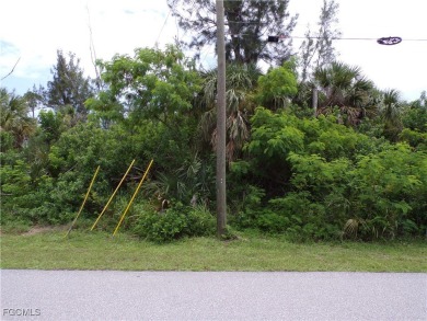 This lot is on a quiet street that would be a great place to on Rotonda Golf and Country Club - Long Marsh  in Florida - for sale on GolfHomes.com, golf home, golf lot