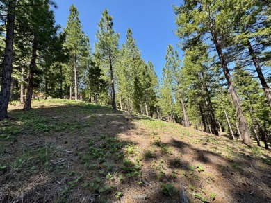 STOP!  BACK UP!.... TAKE ANOTHER LOOK!  Discover the perfect on Nakoma Golf Resort in California - for sale on GolfHomes.com, golf home, golf lot