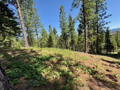 STOP!  BACK UP!.... TAKE ANOTHER LOOK!  Discover the perfect on Nakoma Golf Resort in California - for sale on GolfHomes.com, golf home, golf lot