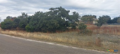 Welcome to Rockin J Ranch, home of the number 1 rated Vaaler on Vaaler Creek Golf Club in Texas - for sale on GolfHomes.com, golf home, golf lot