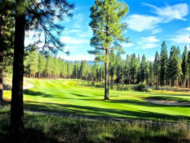 STOP!  BACK UP!.... TAKE ANOTHER LOOK!  Discover the perfect on Nakoma Golf Resort in California - for sale on GolfHomes.com, golf home, golf lot