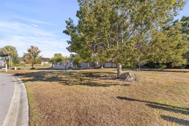 EXCEPTIONAL GARAGE AND WORKSHOP SPACE IDEAL FOR HOBBYISTS OR on The Links of Spruce Creek in Florida - for sale on GolfHomes.com, golf home, golf lot