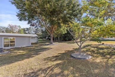 EXCEPTIONAL GARAGE AND WORKSHOP SPACE IDEAL FOR HOBBYISTS OR on The Links of Spruce Creek in Florida - for sale on GolfHomes.com, golf home, golf lot