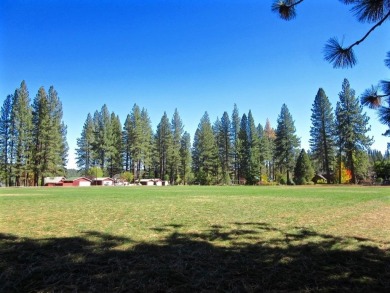 STOP!  BACK UP!.... TAKE ANOTHER LOOK!  Discover the perfect on Nakoma Golf Resort in California - for sale on GolfHomes.com, golf home, golf lot