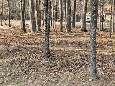 PREMIER approx. 2/3 acre GOLF LOT on the 10th hole of Diamante on Diamante Golf and Country Club in Arkansas - for sale on GolfHomes.com, golf home, golf lot