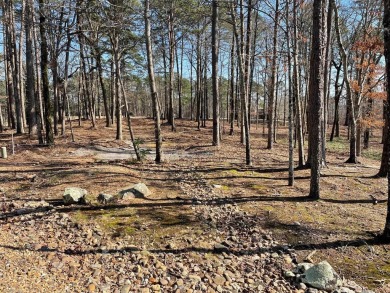 PREMIER approx. 2/3 acre GOLF LOT on the 10th hole of Diamante on Diamante Golf and Country Club in Arkansas - for sale on GolfHomes.com, golf home, golf lot