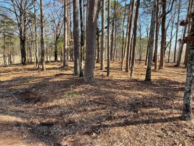 PREMIER approx. 2/3 acre GOLF LOT on the 10th hole of Diamante on Diamante Golf and Country Club in Arkansas - for sale on GolfHomes.com, golf home, golf lot