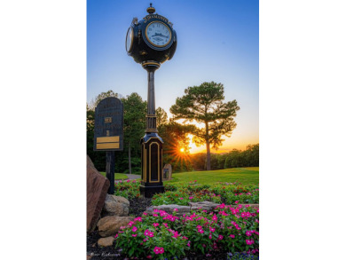 PREMIER approx. 2/3 acre GOLF LOT on the 10th hole of Diamante on Diamante Golf and Country Club in Arkansas - for sale on GolfHomes.com, golf home, golf lot