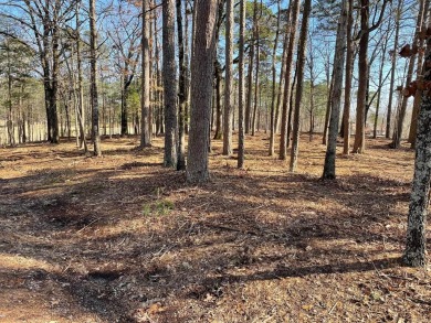 PREMIER approx. 2/3 acre level GOLF LOT on the 10th hole of on Diamante Golf and Country Club in Arkansas - for sale on GolfHomes.com, golf home, golf lot