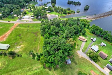 +/- .5 acre waterfront lot located in Pendleton Harbor on Pendleton Harbor in Texas - for sale on GolfHomes.com, golf home, golf lot