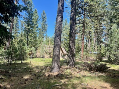 EUREKA, YOU'VE FOUND IT!  Check out this awesome 0.47-acre lot on Plumas Pines Golf Resort in California - for sale on GolfHomes.com, golf home, golf lot