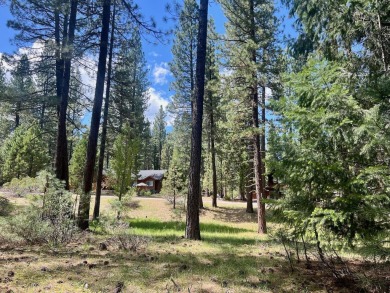 EUREKA, YOU'VE FOUND IT!  Check out this awesome 0.47-acre lot on Plumas Pines Golf Resort in California - for sale on GolfHomes.com, golf home, golf lot