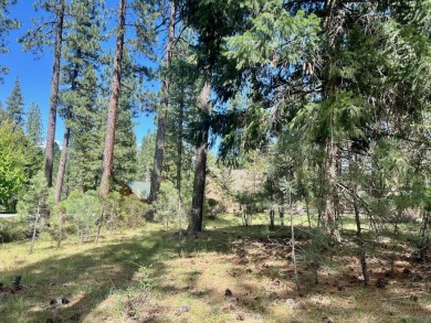 EUREKA, YOU'VE FOUND IT!  Check out this awesome 0.47-acre lot on Plumas Pines Golf Resort in California - for sale on GolfHomes.com, golf home, golf lot