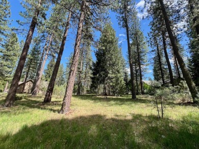 EUREKA, YOU'VE FOUND IT!  Check out this awesome 0.47-acre lot on Plumas Pines Golf Resort in California - for sale on GolfHomes.com, golf home, golf lot
