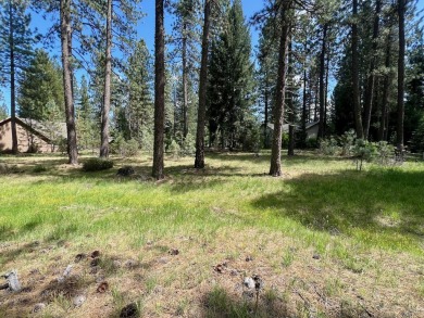 EUREKA, YOU'VE FOUND IT!  Check out this awesome 0.47-acre lot on Plumas Pines Golf Resort in California - for sale on GolfHomes.com, golf home, golf lot
