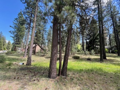 EUREKA, YOU'VE FOUND IT!  Check out this awesome 0.47-acre lot on Plumas Pines Golf Resort in California - for sale on GolfHomes.com, golf home, golf lot
