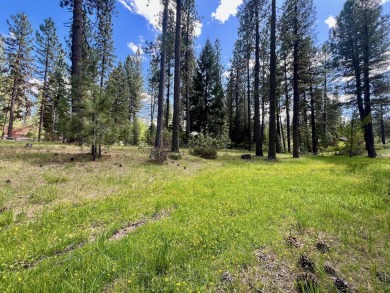 EUREKA, YOU'VE FOUND IT!  Check out this awesome 0.47-acre lot on Plumas Pines Golf Resort in California - for sale on GolfHomes.com, golf home, golf lot