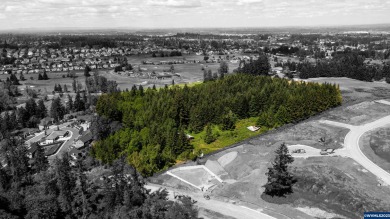Approved and engineered subdivision with 38 buildable lots. Many on Creekside Golf Course in Oregon - for sale on GolfHomes.com, golf home, golf lot