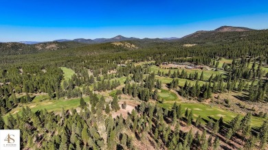 PERMIT READY! Fabulous private setting perched on a gentle on Grizzly Ranch Golf Club in California - for sale on GolfHomes.com, golf home, golf lot
