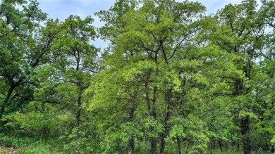 Build your dream home or vacation retreat on these two adjoining on Nocona Hills Golf Course in Texas - for sale on GolfHomes.com, golf home, golf lot