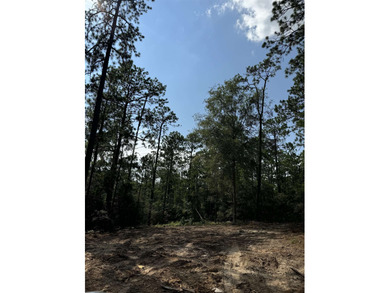 Located on a quiet cul-de-sac in the desirable Rayburn Country on Rayburn Country Club in Texas - for sale on GolfHomes.com, golf home, golf lot