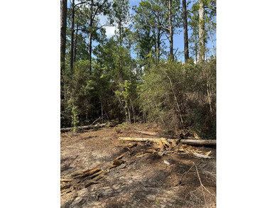 Located on a quiet cul-de-sac in the desirable Rayburn Country on Rayburn Country Club in Texas - for sale on GolfHomes.com, golf home, golf lot