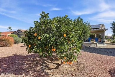 WOW, WOW, WOW! This WILLOW model has been completely remodeled on Desert Springs Golf Course in Arizona - for sale on GolfHomes.com, golf home, golf lot