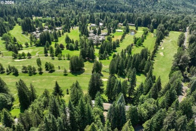 Step into luxury and natural beauty with this stunning on The Resort at the Mountain in Oregon - for sale on GolfHomes.com, golf home, golf lot