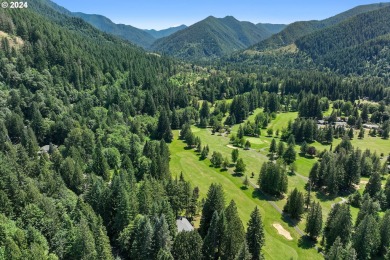 Step into luxury and natural beauty with this stunning on The Resort at the Mountain in Oregon - for sale on GolfHomes.com, golf home, golf lot