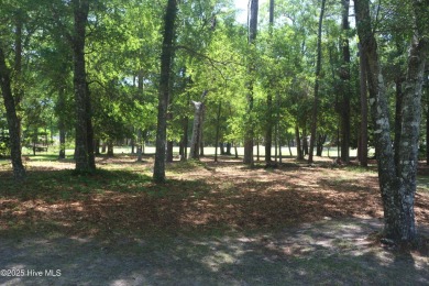 Lovely wooded lot along Fairway #3 in Lockwood Folly Country on Lockwood Folly Country Club in North Carolina - for sale on GolfHomes.com, golf home, golf lot