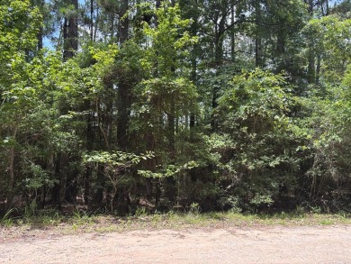 Build your East Texas dream home in Rayburn Country! This lot is on Rayburn Country Club in Texas - for sale on GolfHomes.com, golf home, golf lot