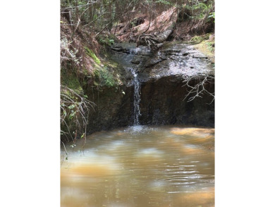 Build your East Texas dream home in Rayburn Country! This lot is on Rayburn Country Club in Texas - for sale on GolfHomes.com, golf home, golf lot