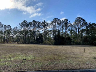 Unparalleled Opportunity: Build Your Dream Home on the Lake in on Long Bay Club in South Carolina - for sale on GolfHomes.com, golf home, golf lot