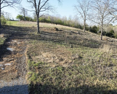 Lot 15 Sec 3 is ready for your Dream House! This already cleared on Peninsula Golf Resort in Kentucky - for sale on GolfHomes.com, golf home, golf lot
