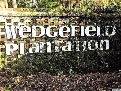 Looking for affordable living in beautiful Wedgefield on Wedgefield Plantation Golf Club in South Carolina - for sale on GolfHomes.com, golf home, golf lot