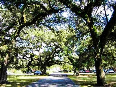 Looking for affordable living in beautiful Wedgefield on Wedgefield Plantation Golf Club in South Carolina - for sale on GolfHomes.com, golf home, golf lot