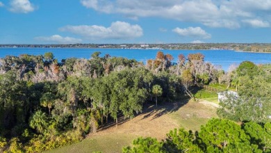 This partially cleared lake front lot is almost an acre and a on Deer Island Country Club in Florida - for sale on GolfHomes.com, golf home, golf lot